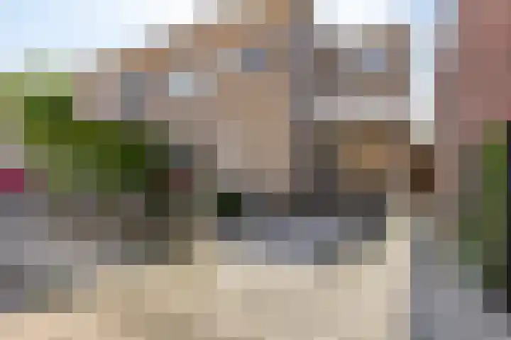Westpolderstraat 10 Schiedam thumbnail 42