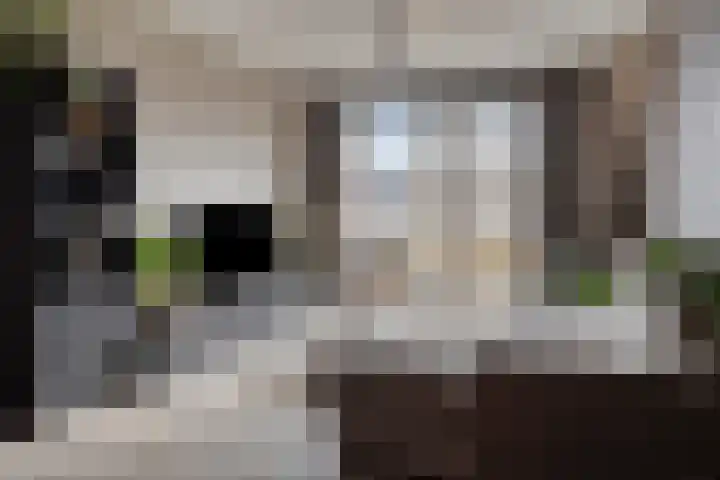 Westpolderstraat 72 Berkel en Rodenrijs thumbnail 7