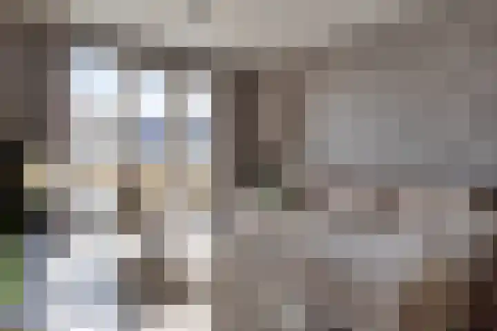 Westpolderstraat 72 Berkel en Rodenrijs thumbnail 8