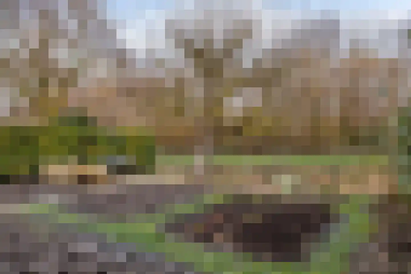 Westpoort 17 Sint-Maartensdijk thumbnail 57