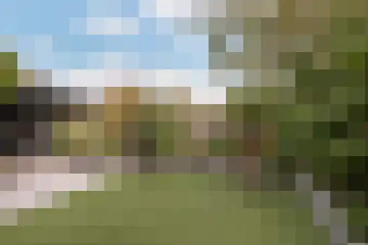 Westpoort 29 Sint-Maartensdijk thumbnail 36