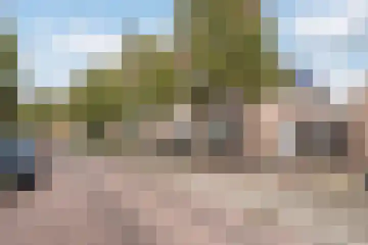 Westpoort 29 Sint-Maartensdijk thumbnail 8