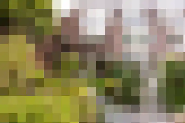 Westrak 17 Harderwijk thumbnail 22