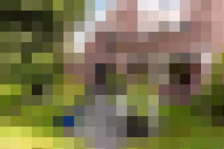 Westrak 17 Harderwijk thumbnail 24