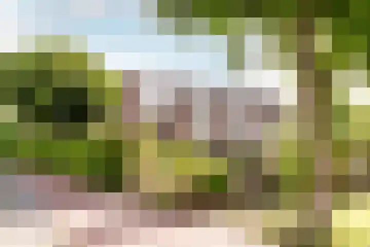 Westrak 17 Harderwijk thumbnail 29