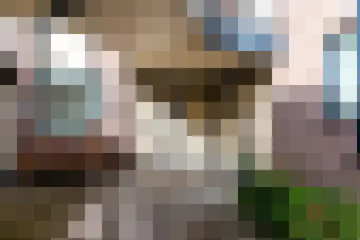 Westrak 17 Harderwijk thumbnail 30