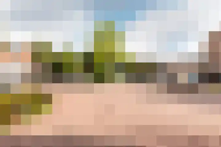 Westrak 17 Harderwijk thumbnail 33