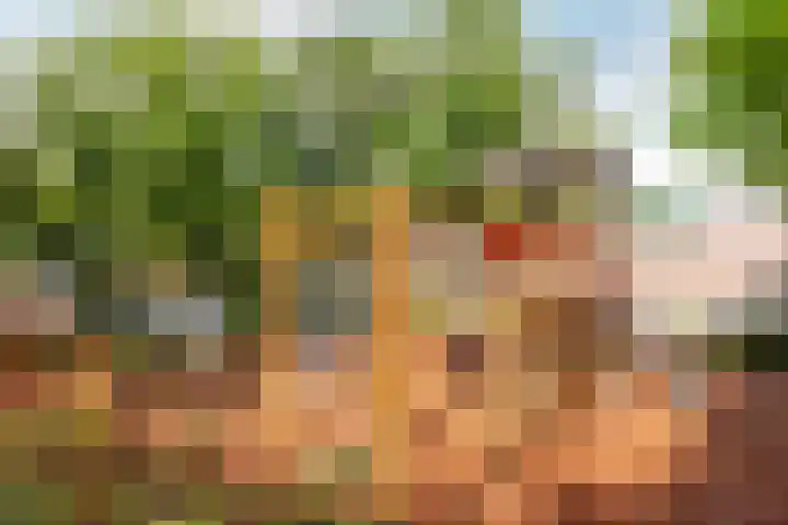 Westrak 17 Harderwijk thumbnail 34