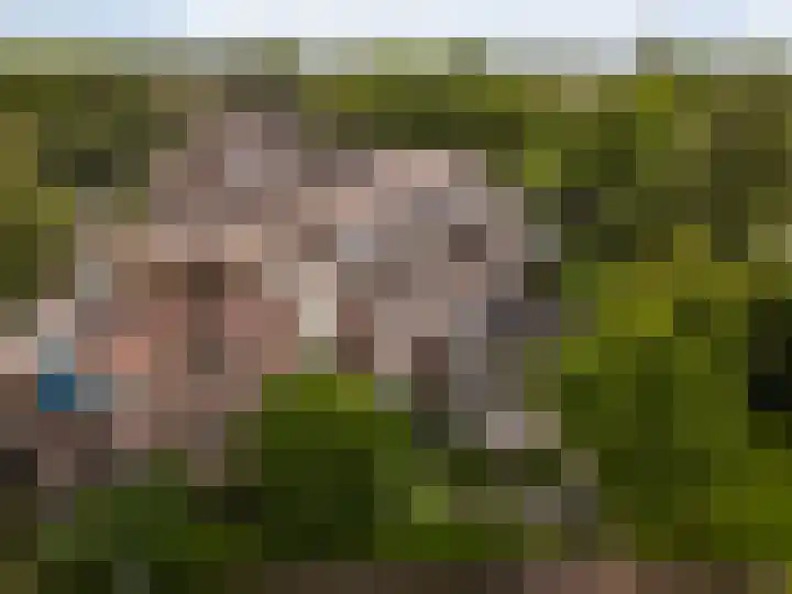 Westrak 17 Harderwijk thumbnail 36