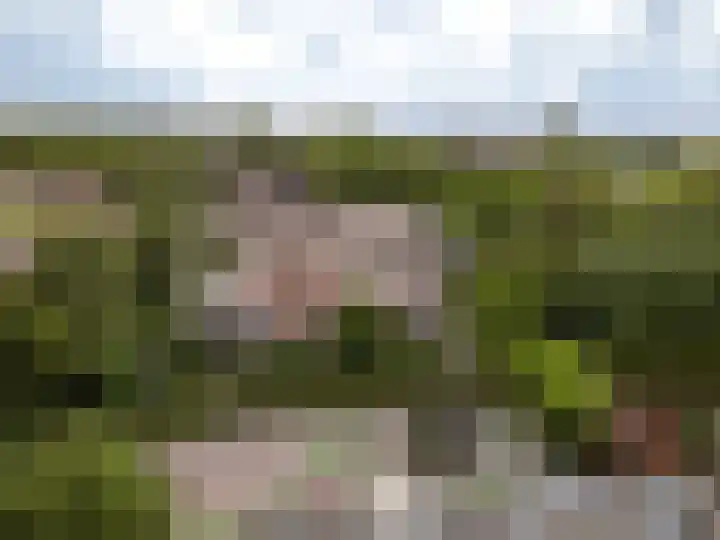 Westrak 17 Harderwijk thumbnail 37