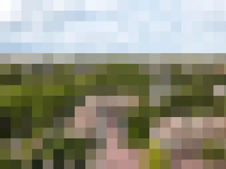 Westrak 17 Harderwijk thumbnail 38