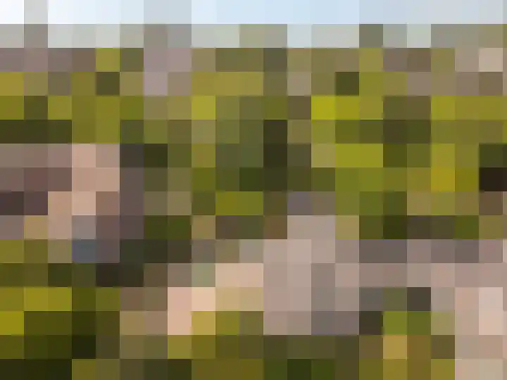 Westrak 17 Harderwijk thumbnail 39
