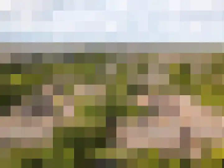 Westrak 17 Harderwijk thumbnail 40