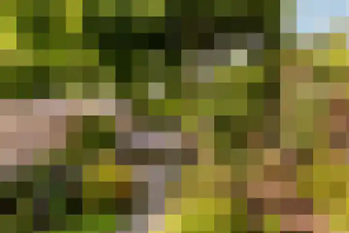 Westrak 17 Harderwijk thumbnail 6