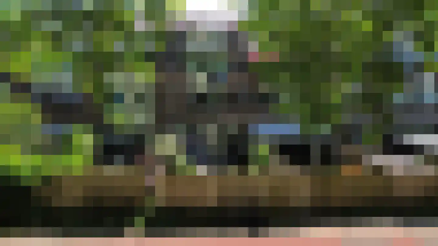 Westrak 25 Harderwijk thumbnail 33