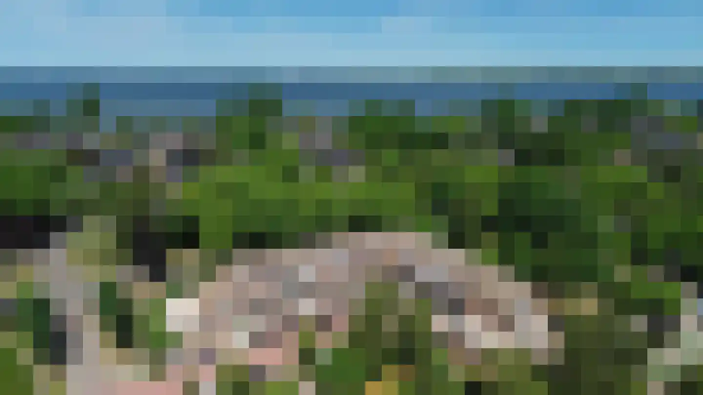 Westrak 25 Harderwijk thumbnail 37