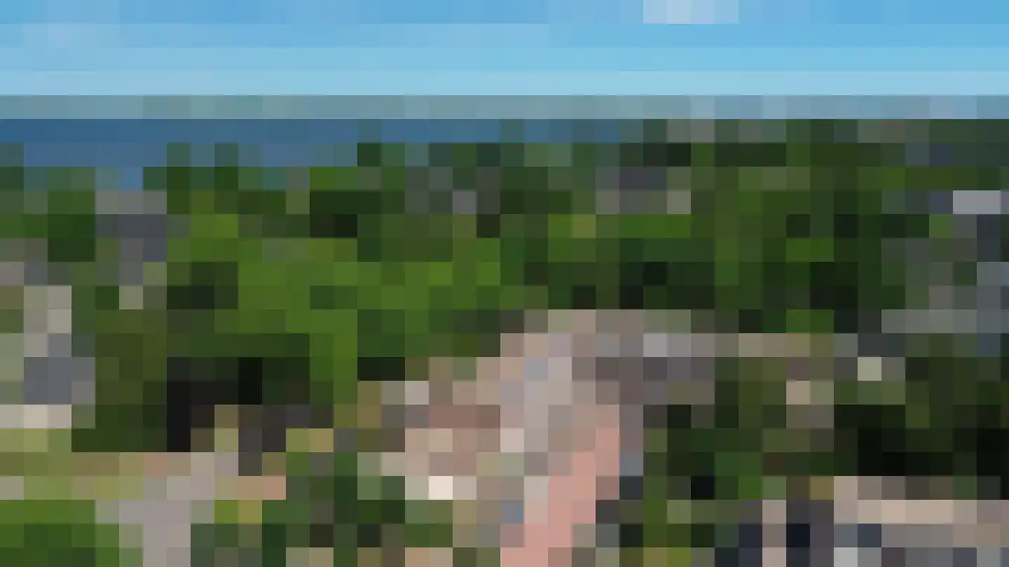 Westrak 25 Harderwijk thumbnail 38