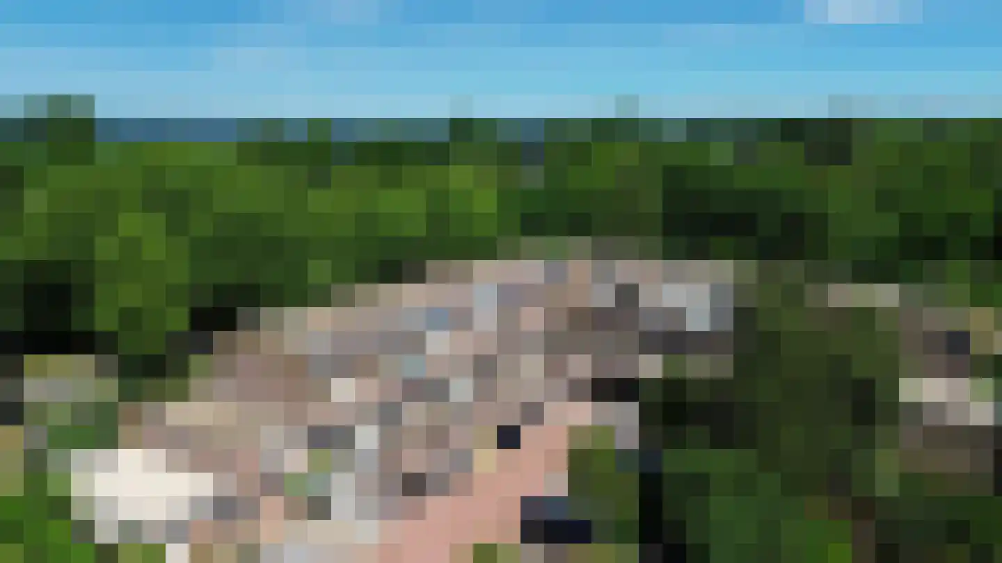 Westrak 25 Harderwijk thumbnail 39