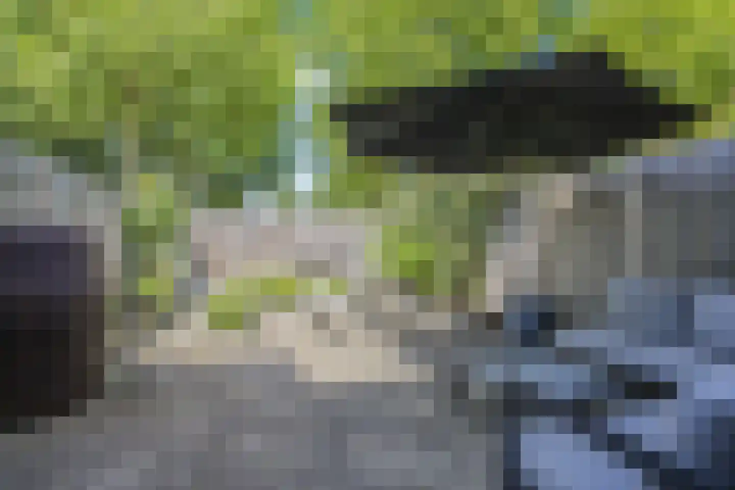 Westrak 25 Harderwijk thumbnail 4