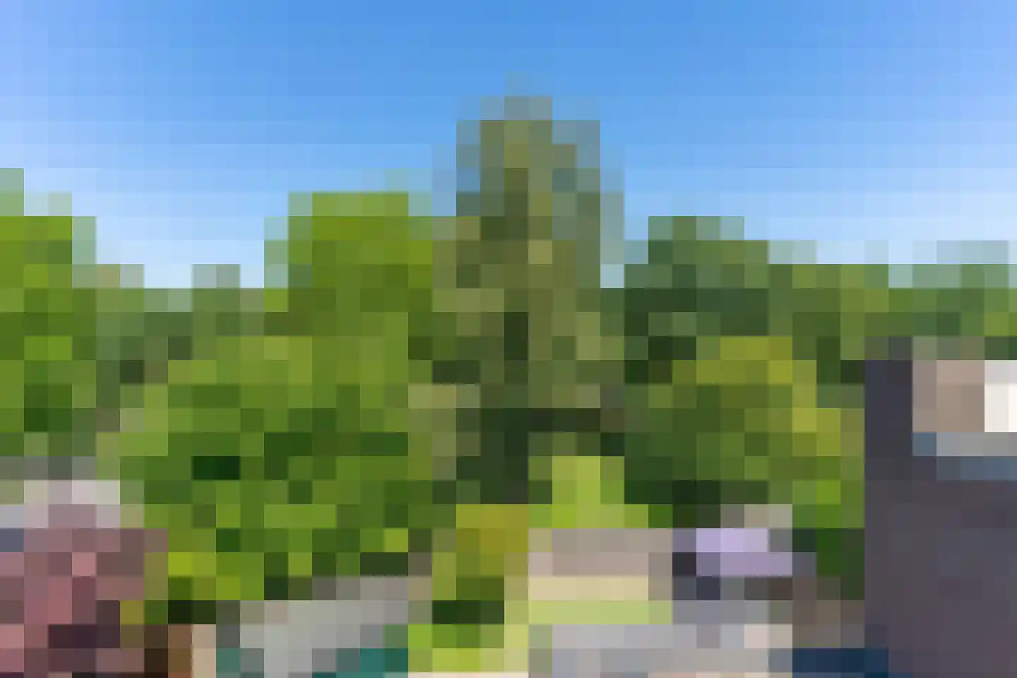Westrak 39 Harderwijk thumbnail 22