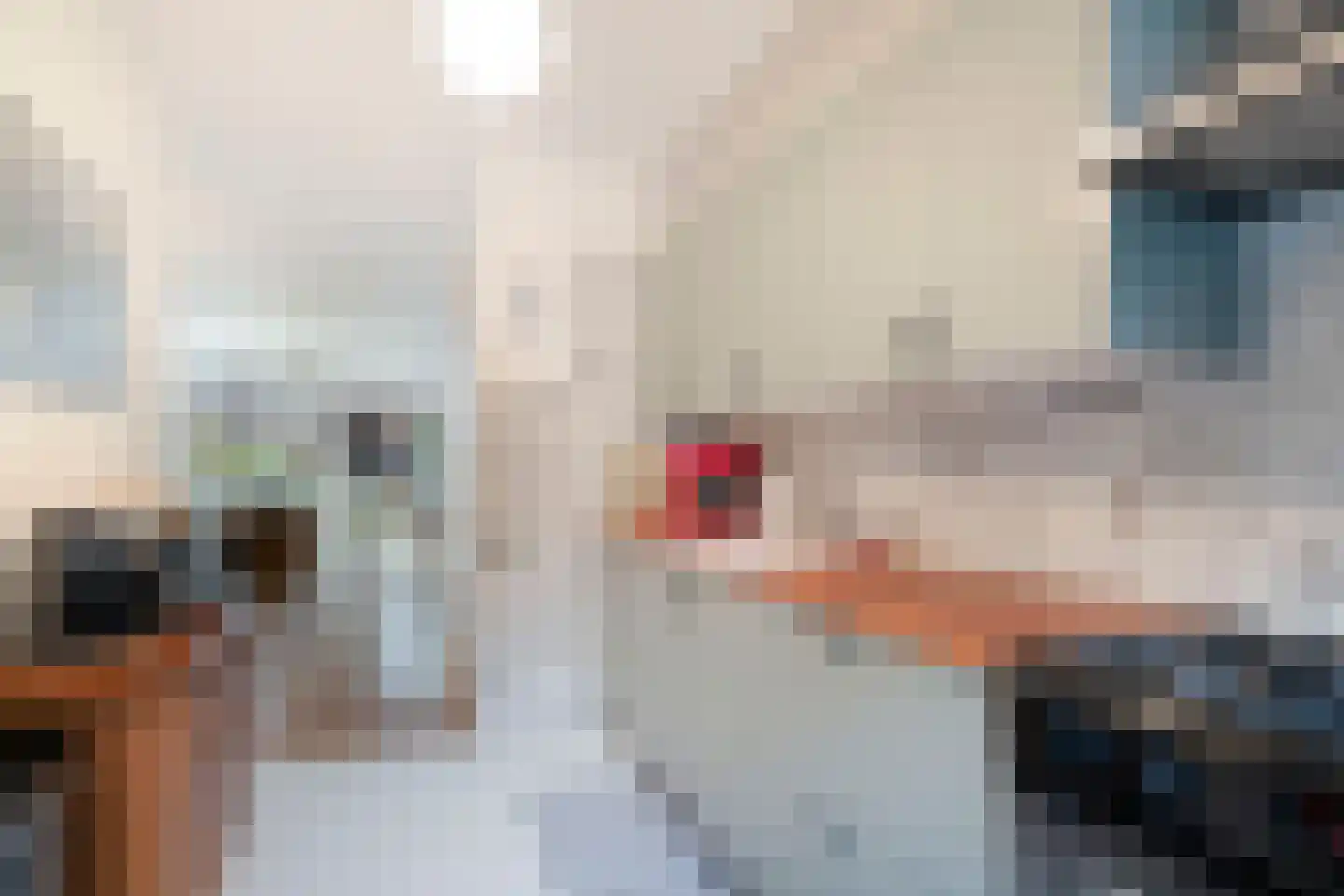 Westrak 4 Harderwijk thumbnail 16