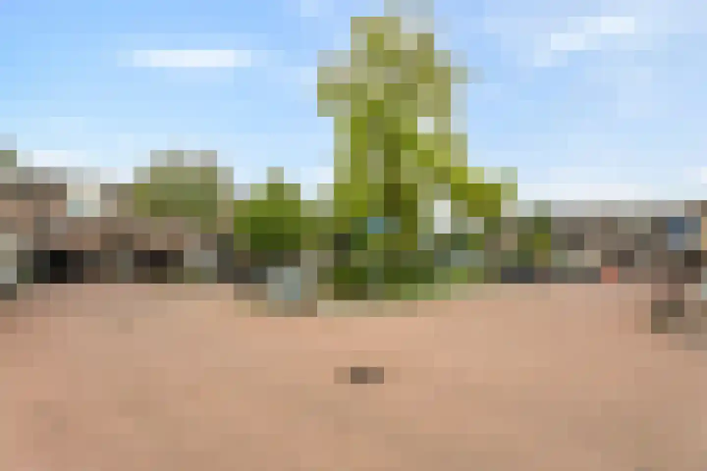 Westrak 4 Harderwijk thumbnail 36