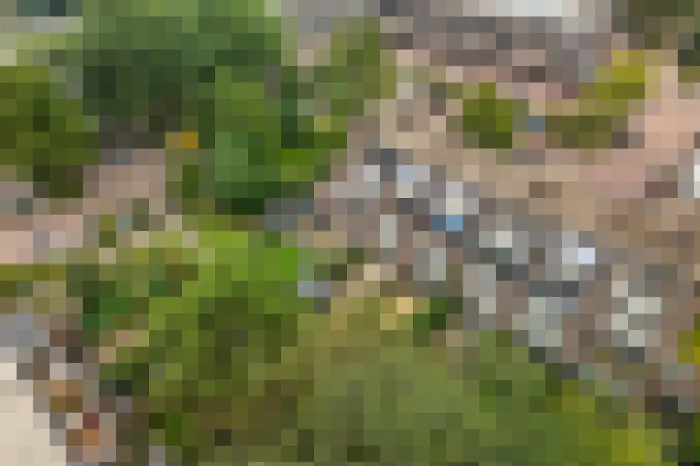 Westrak 4 Harderwijk thumbnail 41