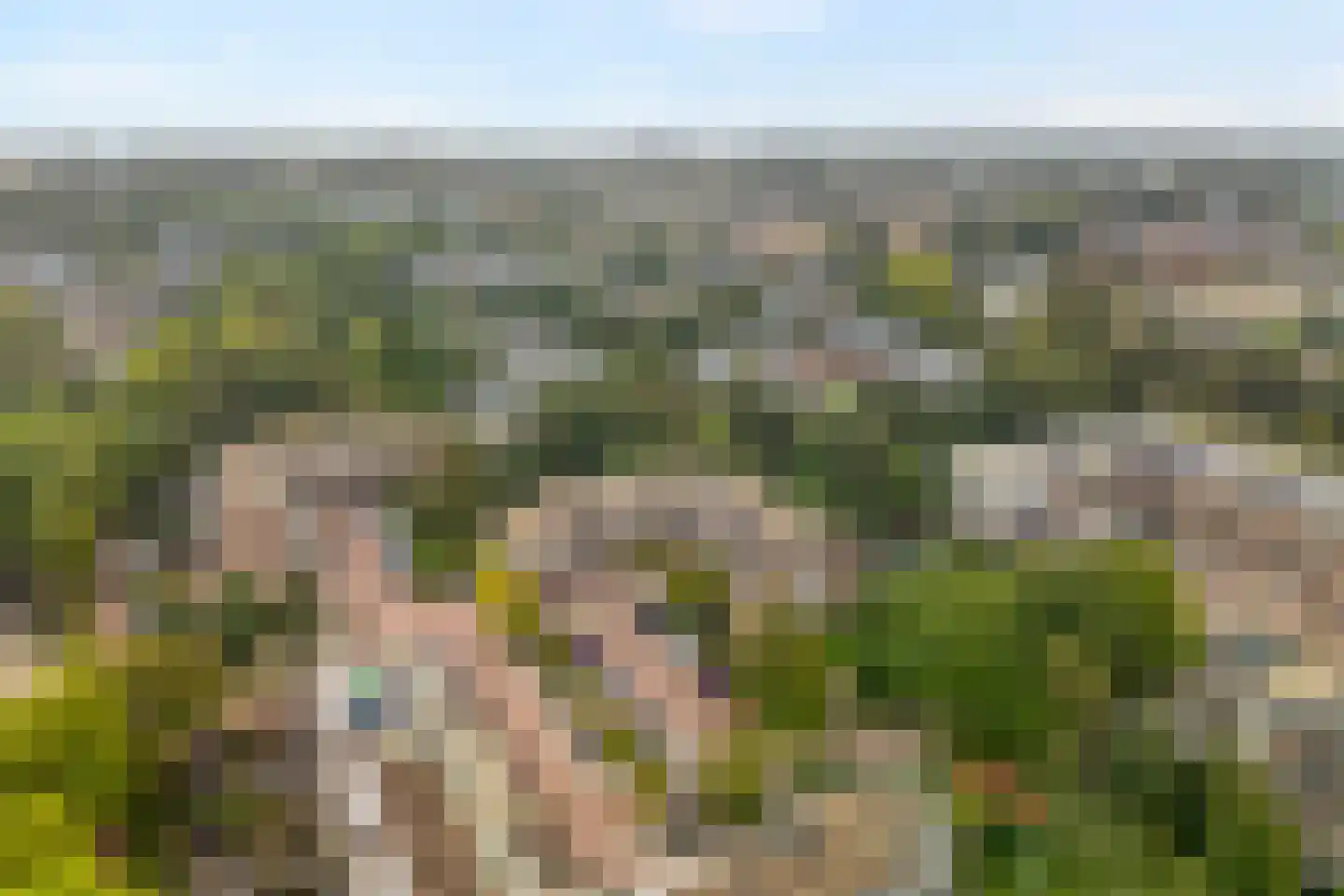 Westrak 4 Harderwijk thumbnail 43