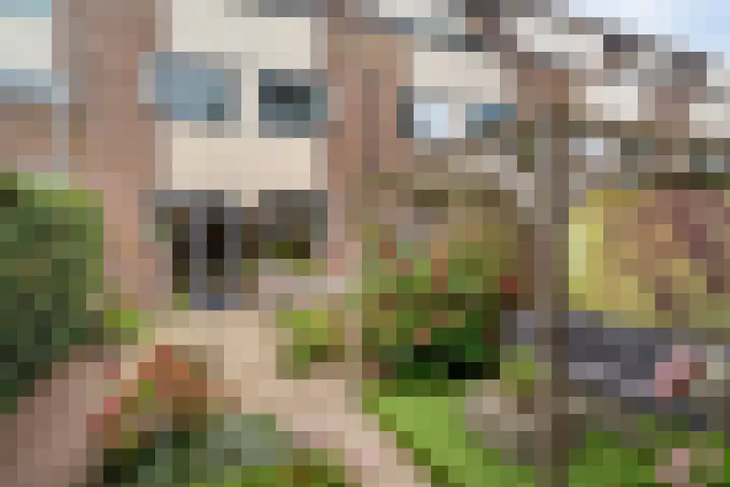 Westrak 4 Harderwijk thumbnail 8