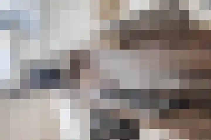 Westrak 5 Harderwijk thumbnail 12