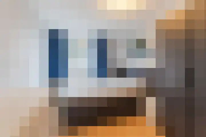 Westrak 5 Harderwijk thumbnail 17