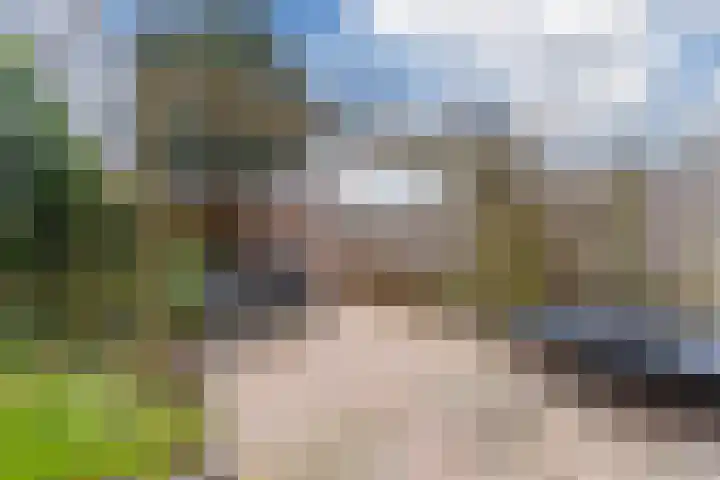 Westrak 5 Harderwijk thumbnail 30