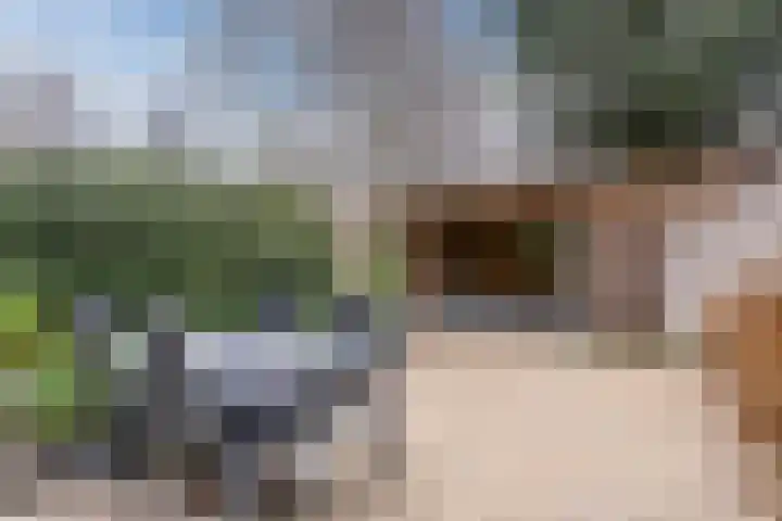 Westrak 5 Harderwijk thumbnail 31