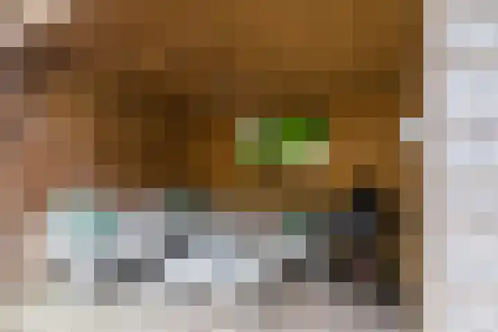 Westrak 5 Harderwijk thumbnail 32