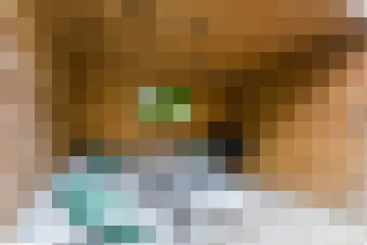 Westrak 5 Harderwijk thumbnail 33