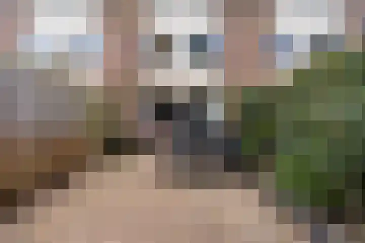 Westrak 5 Harderwijk thumbnail 34