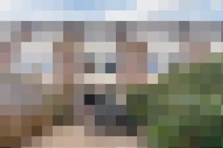 Westrak 5 Harderwijk thumbnail 35