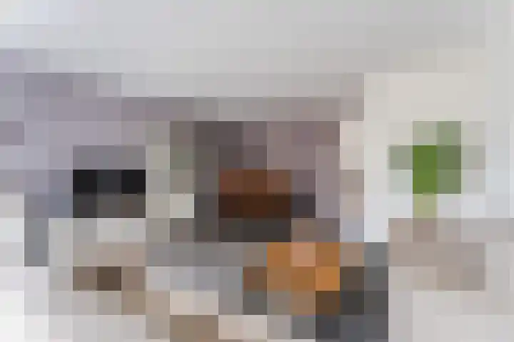 Westrak 5 Harderwijk thumbnail 4