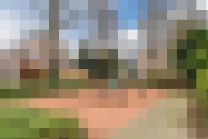 Westrak 5 Harderwijk thumbnail 44