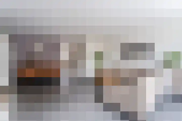 Westrak 5 Harderwijk thumbnail 5