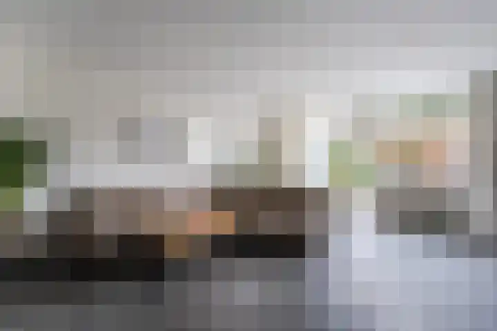 Westrak 5 Harderwijk thumbnail 6