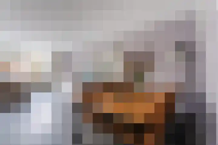 Westrak 5 Harderwijk thumbnail 9
