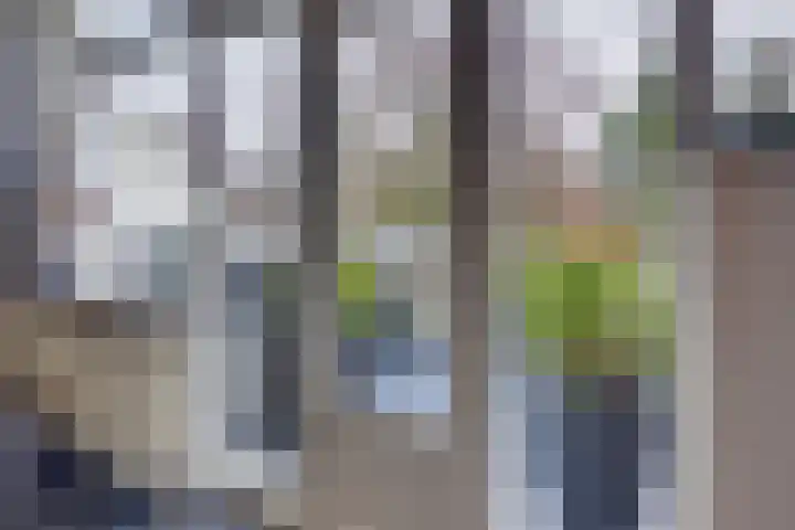 Westrak 59 Harderwijk thumbnail 24