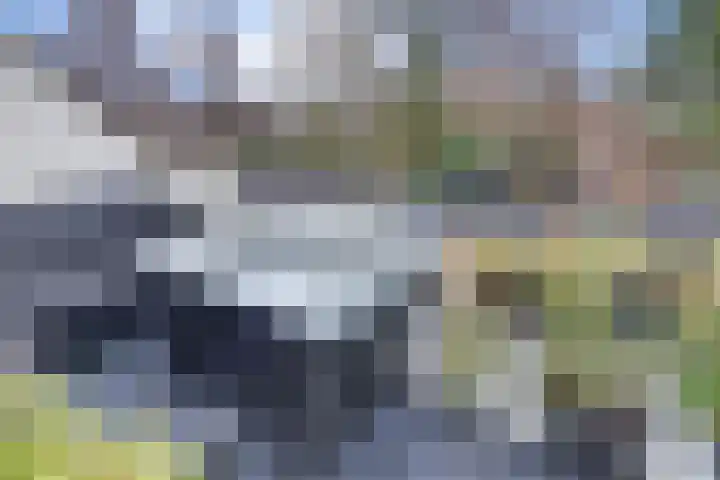 Westrak 59 Harderwijk thumbnail 25