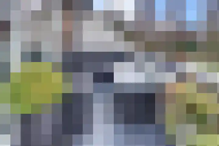 Westrak 59 Harderwijk thumbnail 26