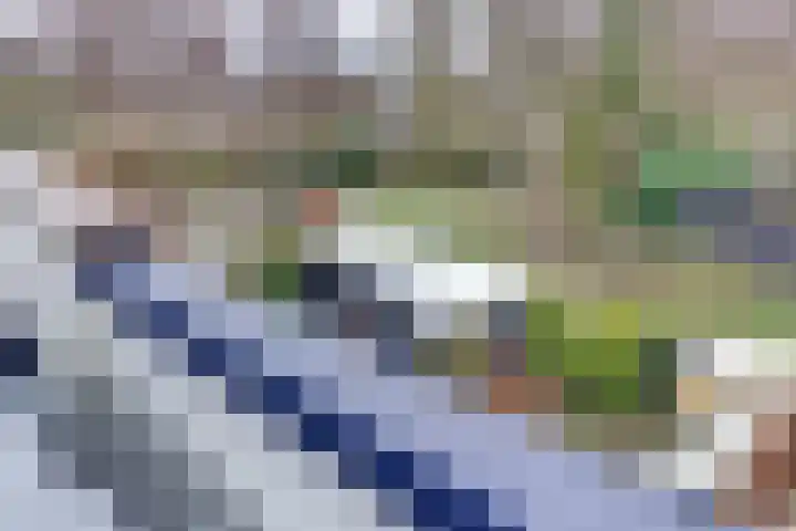 Westrak 59 Harderwijk thumbnail 28
