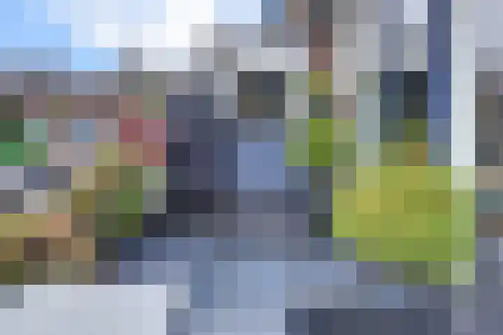 Westrak 59 Harderwijk thumbnail 29