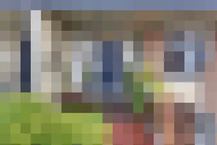 Westrak 59 Harderwijk thumbnail 46