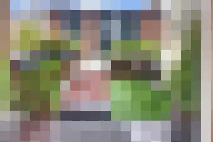 Westrak 59 Harderwijk thumbnail 47
