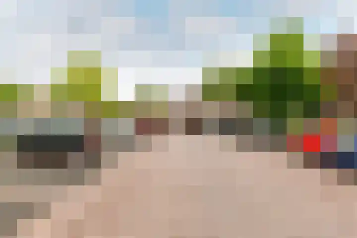 Westrak 61 Harderwijk thumbnail 27